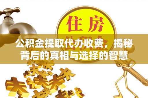 全南公积金提取代办收费，揭秘背后的真相与选择的智慧
