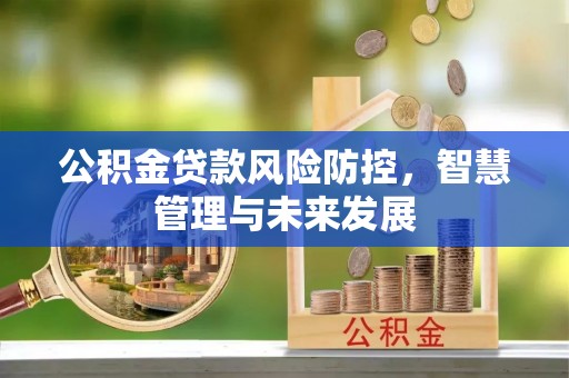 全南公积金贷款风险防控，智慧管理与未来发展