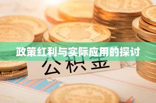 全南政策红利与实际应用的探讨