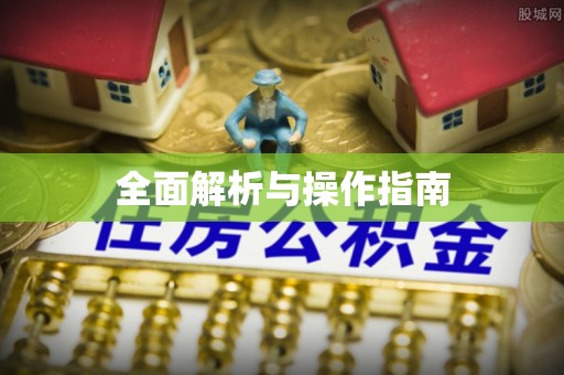 全南全面解析与操作指南