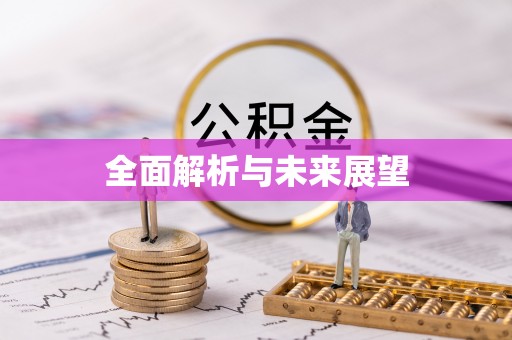 全南全面解析与未来展望
