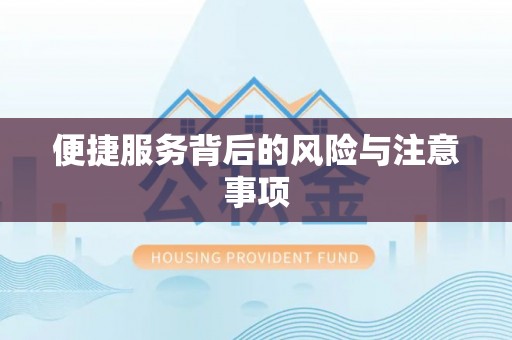 全南便捷服务背后的风险与注意事项